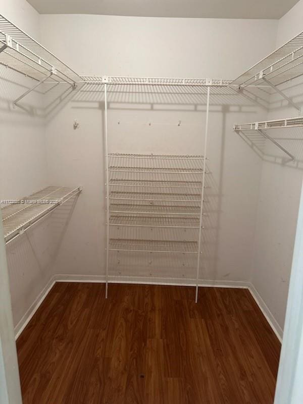 spacious closet with wood-type flooring