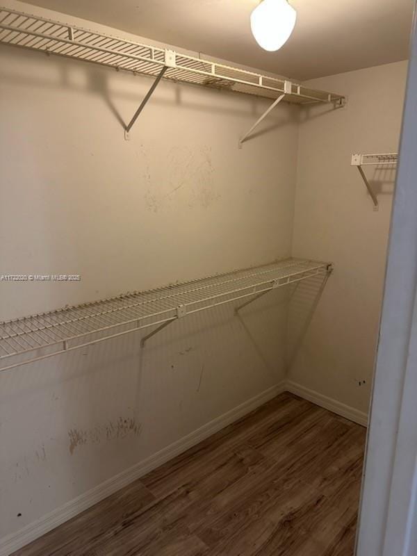 walk in closet featuring hardwood / wood-style flooring