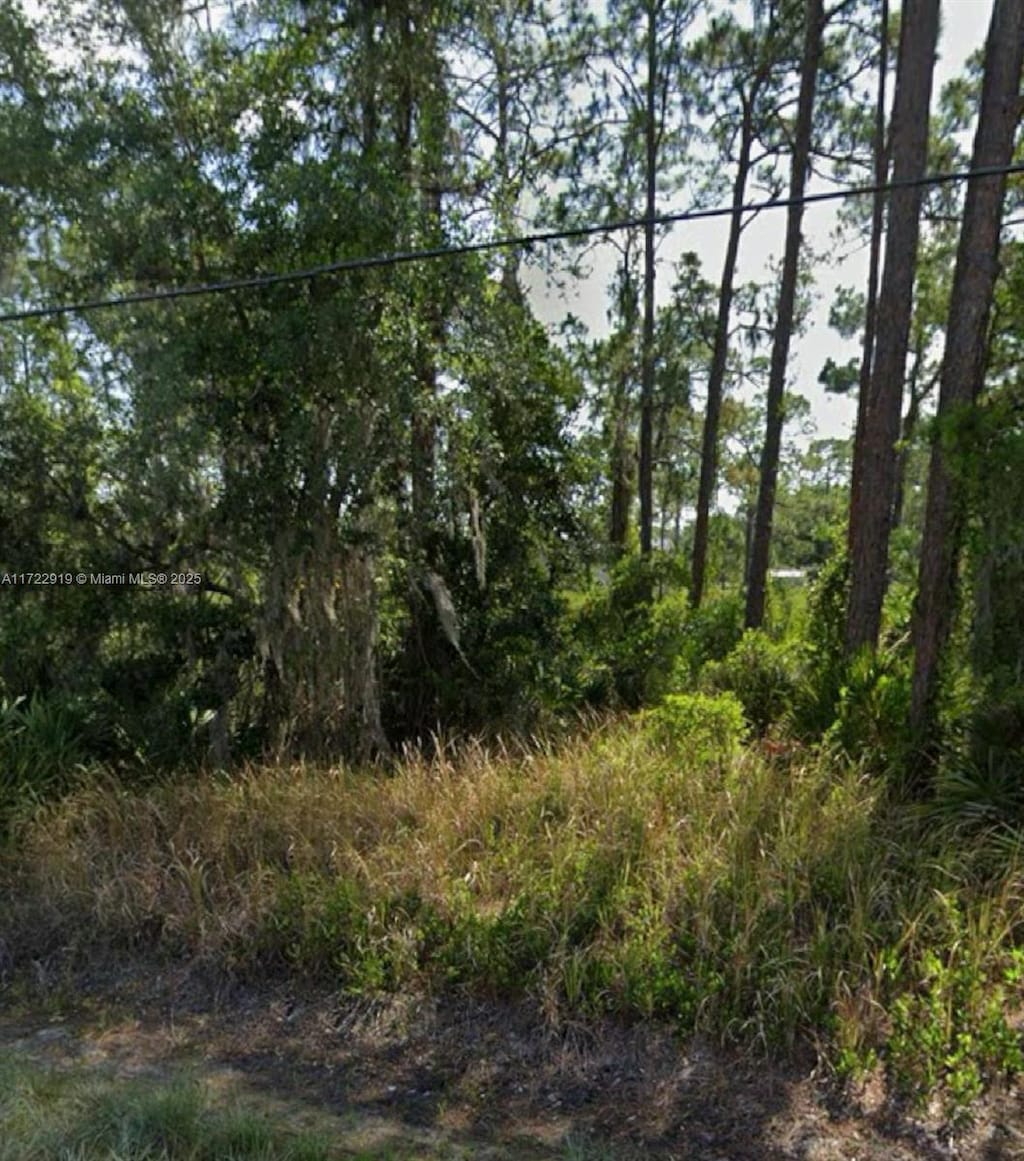 1909 Everlast, Sebring, FL 33875 - photo 2