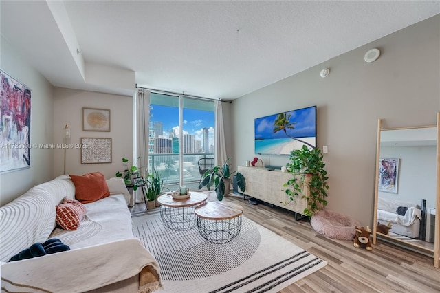 living room featuring light hardwood / wood-style flooring and expansive windows