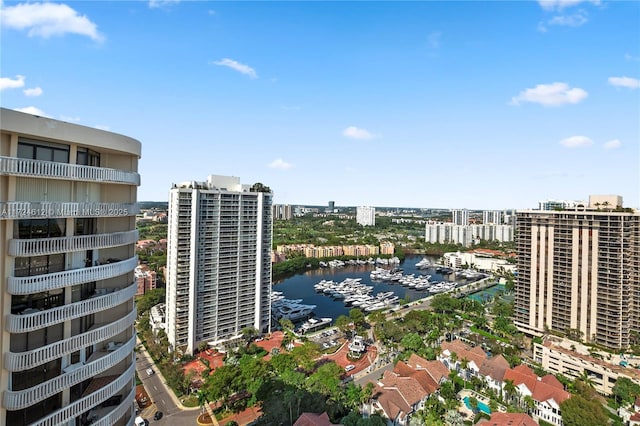 bird's eye view with a water view