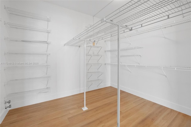 walk in closet featuring hardwood / wood-style flooring