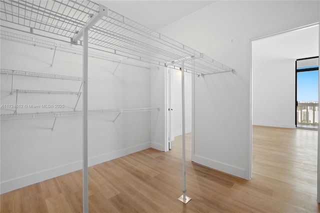 walk in closet featuring hardwood / wood-style flooring