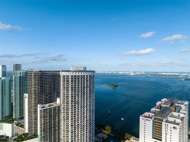 aerial view with a water view