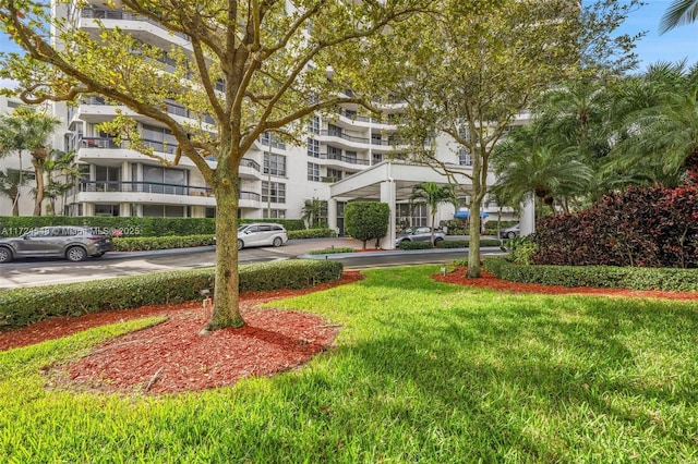 view of community with a yard