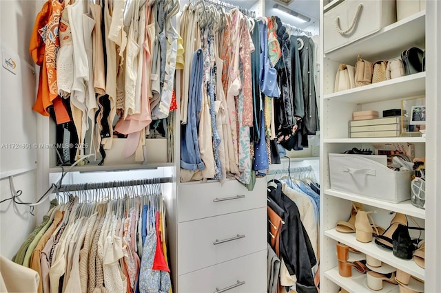 view of spacious closet