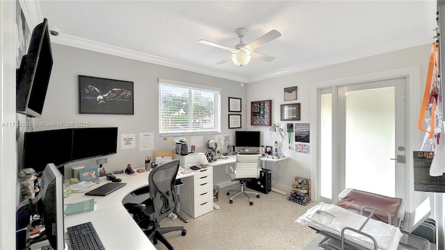 office space featuring ceiling fan and ornamental molding