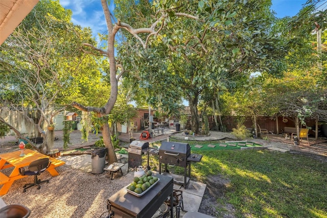 view of yard featuring a patio