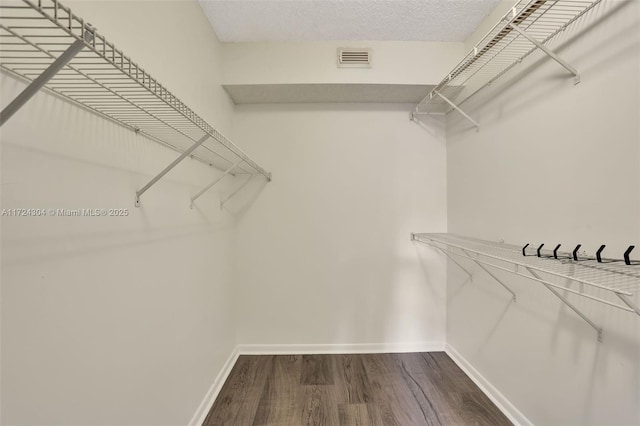 spacious closet with hardwood / wood-style floors