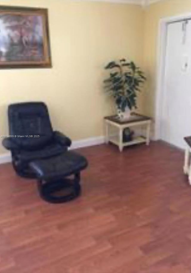 sitting room featuring wood-type flooring