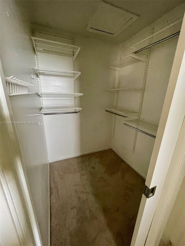 7935 SW 86th St Unit 823, Miami, FL 33143 - photo 13