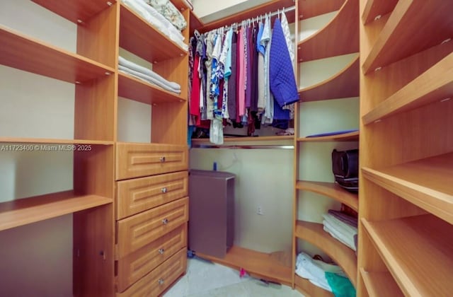 view of spacious closet