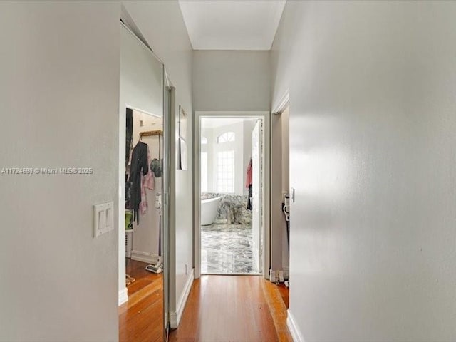 hall featuring light hardwood / wood-style flooring