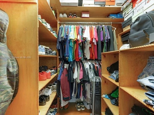 view of walk in closet