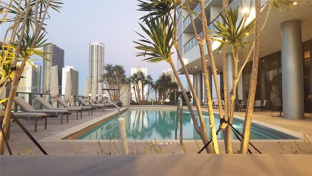 view of pool featuring a patio