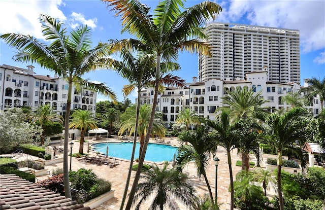 view of swimming pool with a patio area