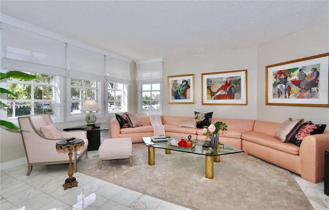 living room with a textured ceiling