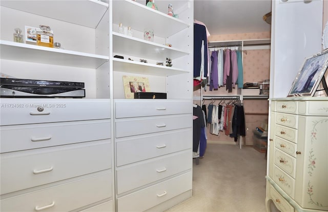 view of walk in closet