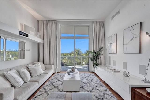 living room featuring dark hardwood / wood-style floors and plenty of natural light