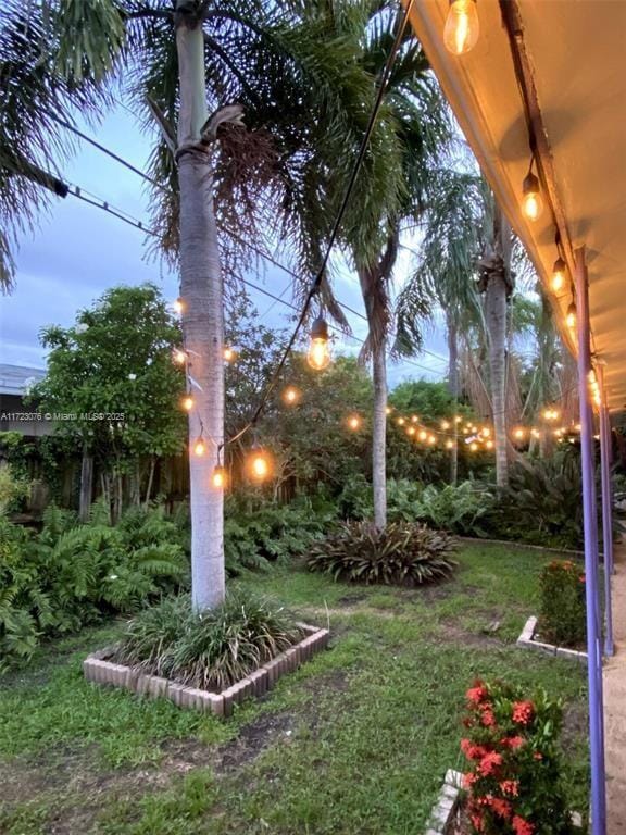 view of yard at dusk