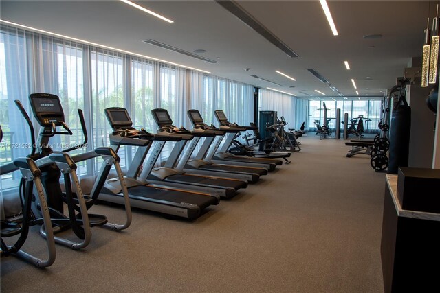 exercise room with carpet