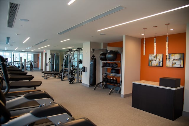 workout area with light carpet