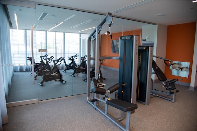 exercise room with floor to ceiling windows