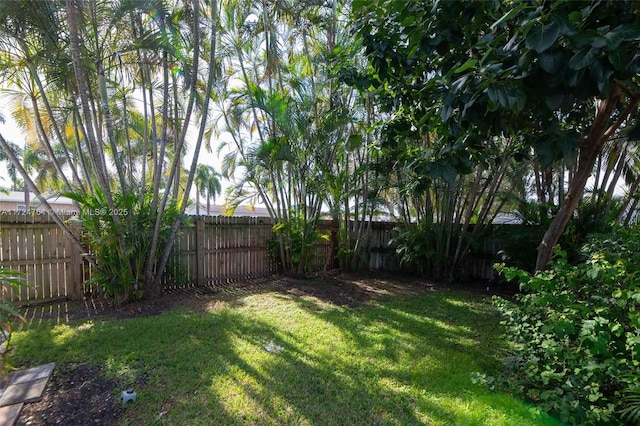 view of yard with a fenced backyard