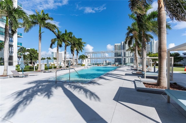 view of pool with a patio area