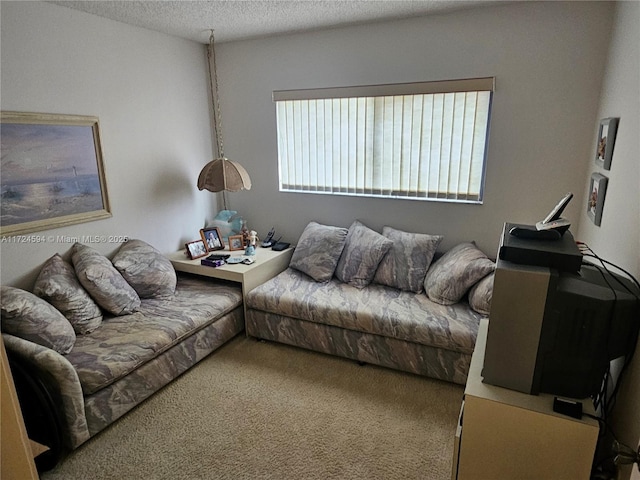 carpeted living room featuring a textured ceiling