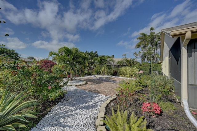 view of yard featuring a patio