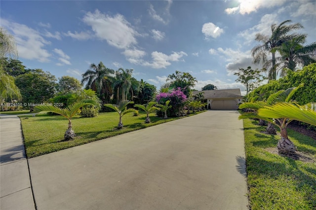 exterior space with a garage, driveway, and a front yard