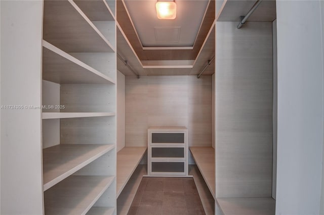 view of walk in closet