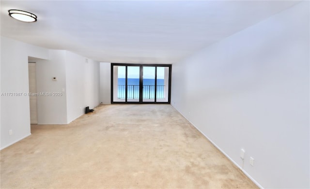 unfurnished room with light carpet and a wall of windows