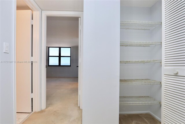 2401 S Ocean Dr Unit 1003, Hollywood, FL 33019 - view of closet