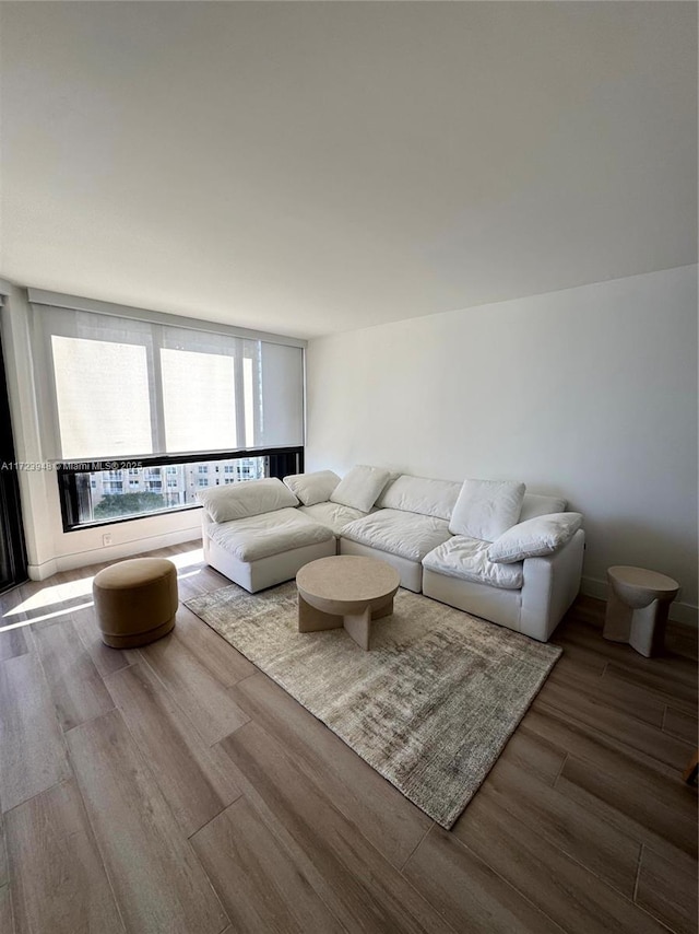 living room with wood-type flooring