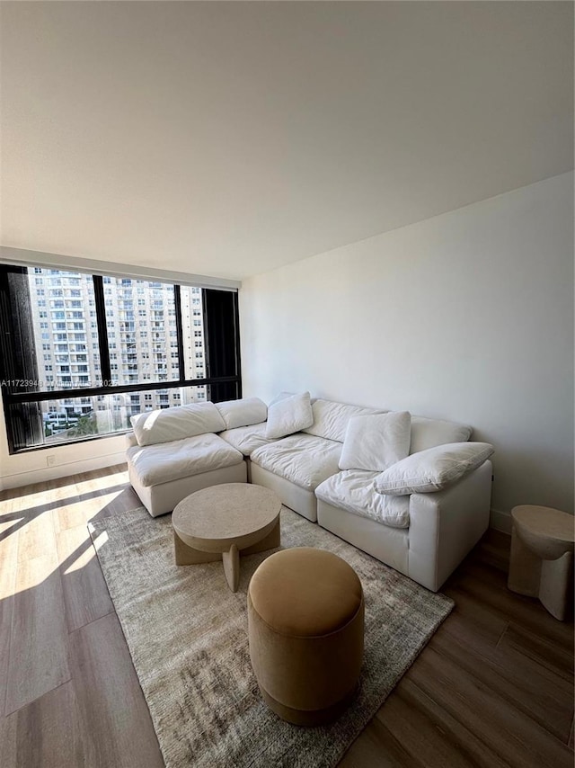 living room featuring hardwood / wood-style floors