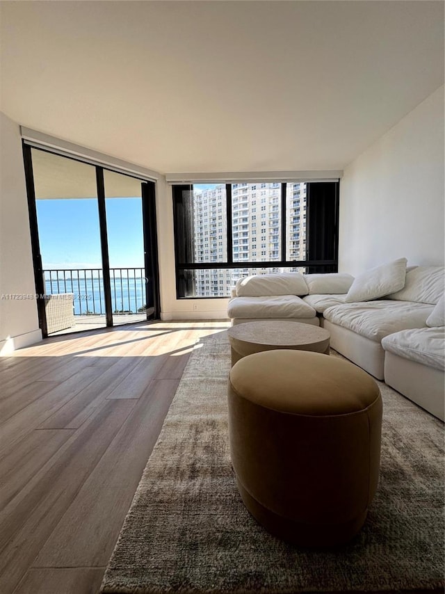 living room with floor to ceiling windows and wood-type flooring