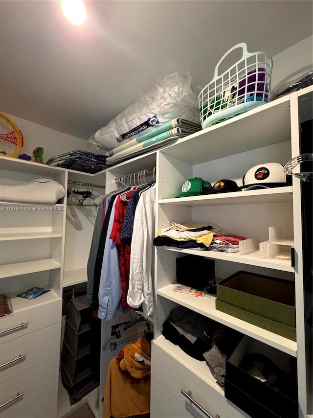 view of spacious closet