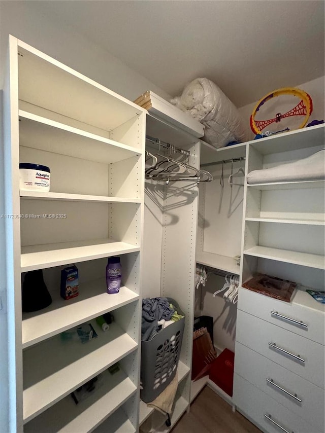 walk in closet with wood-type flooring