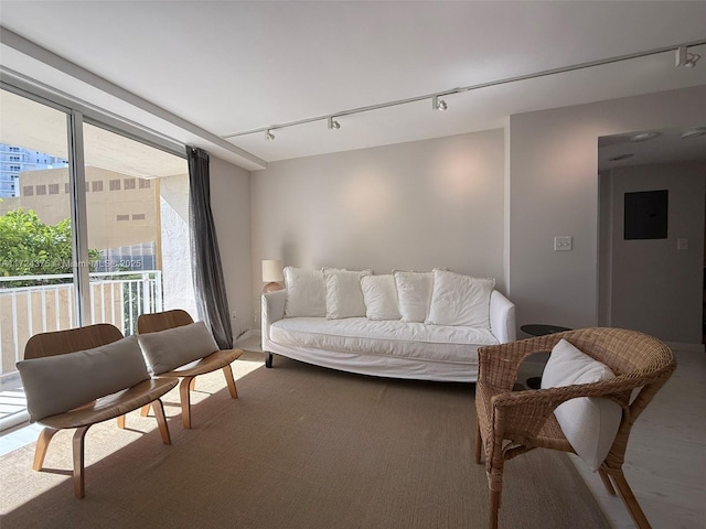 living room with carpet and rail lighting