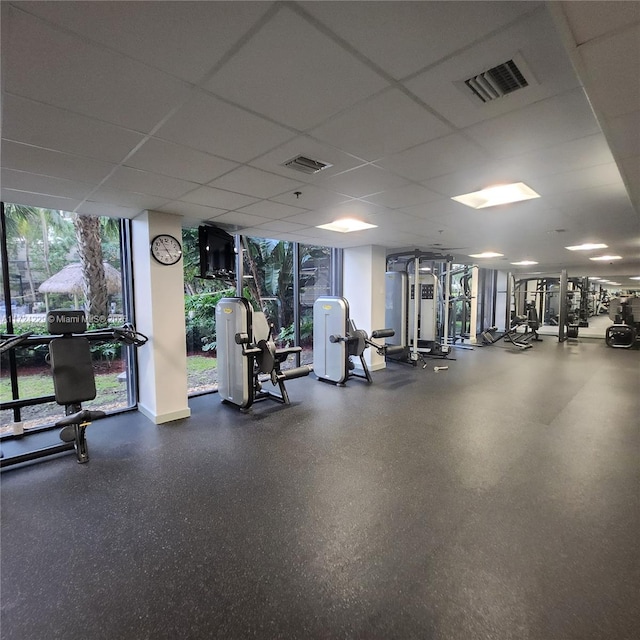 exercise room featuring expansive windows and a paneled ceiling