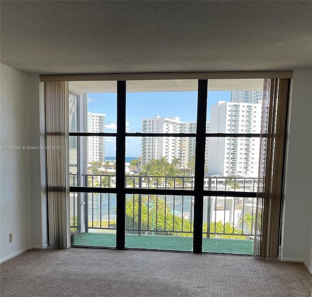 carpeted spare room with a water view