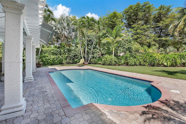 view of pool featuring a patio and a lawn