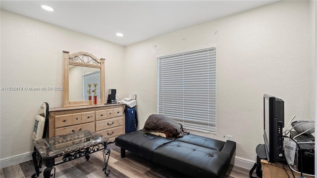 sitting room featuring hardwood / wood-style flooring