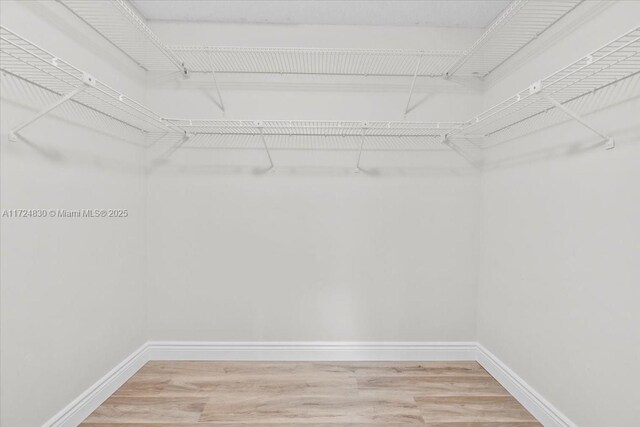 spacious closet with hardwood / wood-style floors