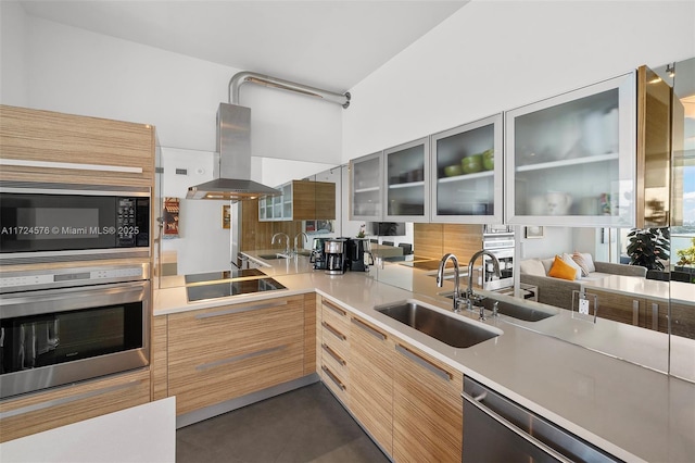 kitchen with range hood, stainless steel appliances, and sink