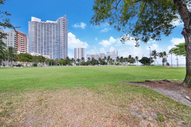 view of property's community featuring a yard