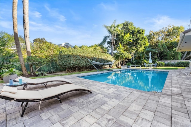 view of pool with a patio