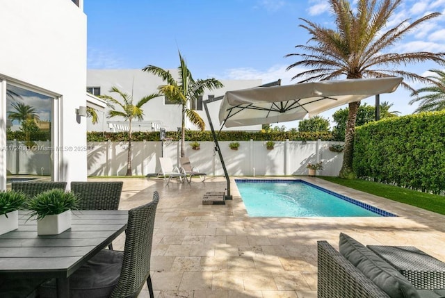 view of pool featuring a patio area